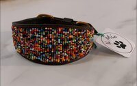 IL MIO COLOR SPLASH COLLAR 14"